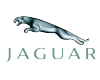 Jaguar Jaguar